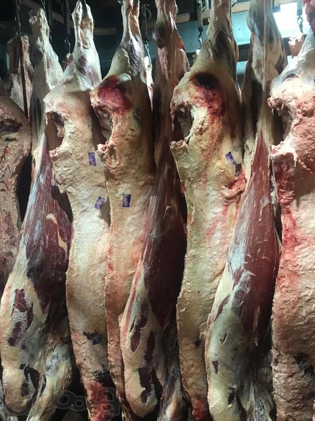 Предложение мяса и мясных продуктов